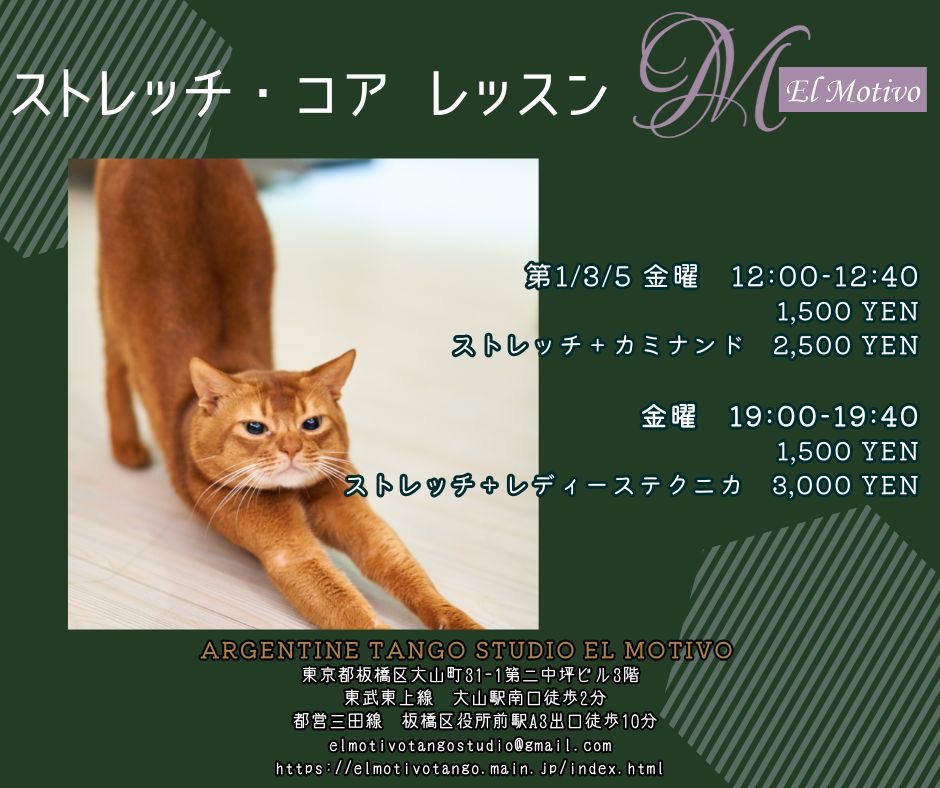 ストレッチ・コアトレーニング（夜）